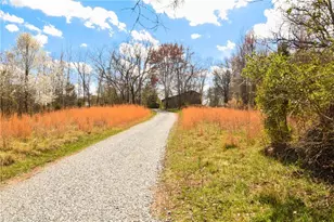 5600 Bunch Rd, Oak Ridge, NC 27310 - Photo 29