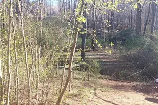 3264 Moores Spring Rd, Westfield, NC 27053 - Photo 5