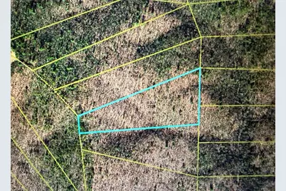 259 Widow Mountain Drive, Hays, NC 28653 - Photo 5