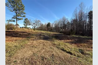 000 Mulberry Academy Street, Franklinville, NC 27248 - Photo 5