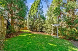 905 McDowell Dr, Greensboro, NC 27408 - Photo 45