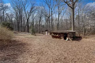 177 Joe Cobb Rd, Ruffin, NC 27326 - Photo 19