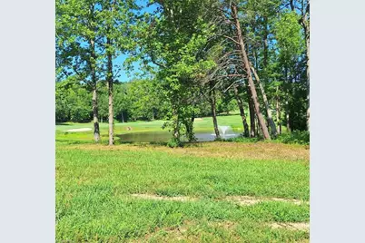 0 Caswell Pines Clubhouse Drive, Blanch, NC 27212 - Photo 3
