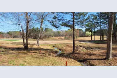 0 Caswell Pines Clubhouse Drive, Blanch, NC 27212 - Photo 5