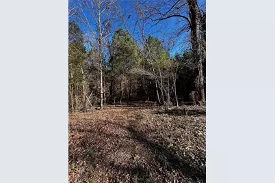 4624 Old Hopewell Church Road, Trinity, NC 27370 - Photo 19