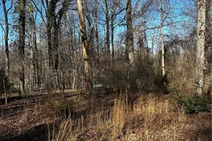 4624 Old Hopewell Church Rd, Trinity, NC 27370 - Photo 23