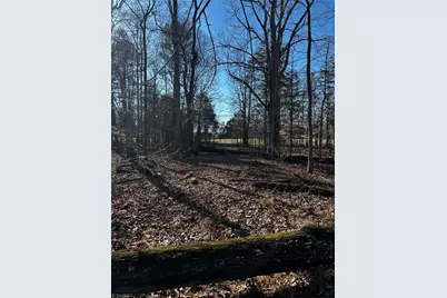 4624 Old Hopewell Church Road, Trinity, NC 27370 - Photo 13