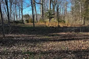 4624 Old Hopewell Church Rd, Trinity, NC 27370 - Photo 21