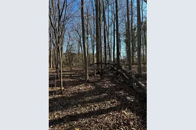 4624 Old Hopewell Church Road, Trinity, NC 27370 - Photo 25