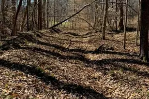 00 Nc Hwy 801 S, Advance, NC 27006 - Photo 1