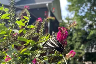 7602 Wilson Farm Rd, Summerfield, NC 27358 - Photo 41