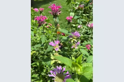 7602 Wilson Farm Road, Summerfield, NC 27358 - Photo 45