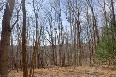 2482 Sisk Road, Lawsonville, NC 27022 - Photo 9