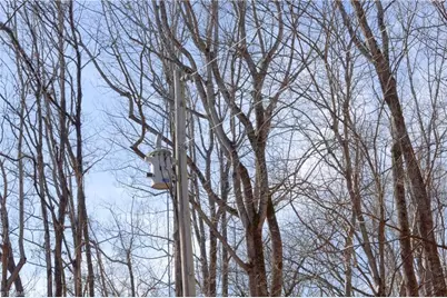 2482 Sisk Road, Lawsonville, NC 27022 - Photo 7