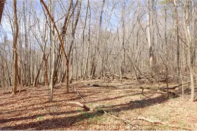 2482 Sisk Road, Lawsonville, NC 27022 - Photo 23