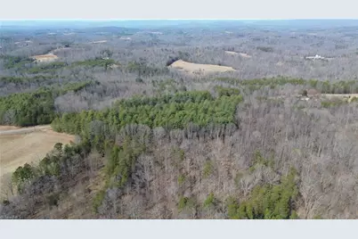 1284-1516 Tom Mix Road #95.93 +/- Ac Tract, Westfield, NC 27053 - Photo 7