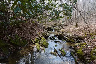 1284-1516 Tom Mix Road #95.93 +/- Ac Tract, Westfield, NC 27053 - Photo 1