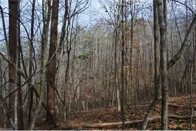 1284-1516 Tom Mix Road #95.93 +/- Ac Tract, Westfield, NC 27053 - Photo 35