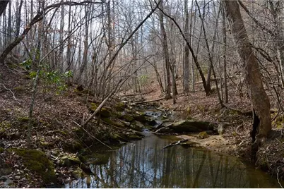 1284-1516 Tom Mix Road #95.93 +/- Ac Tract, Westfield, NC 27053 - Photo 37
