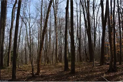 1284-1516 Tom Mix Road #95.93 +/- Ac Tract, Westfield, NC 27053 - Photo 13