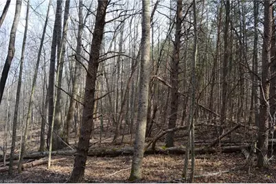 1284-1516 Tom Mix Road #95.93 +/- Ac Tract, Westfield, NC 27053 - Photo 45