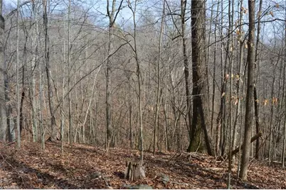 1284-1516 Tom Mix Road #95.93 +/- Ac Tract, Westfield, NC 27053 - Photo 19