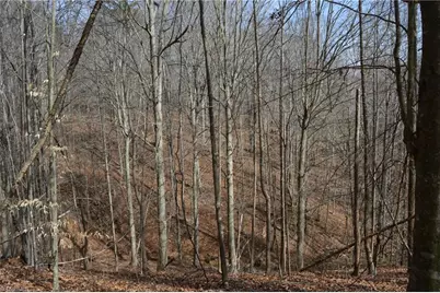 1284-1516 Tom Mix Road #95.93 +/- Ac Tract, Westfield, NC 27053 - Photo 21