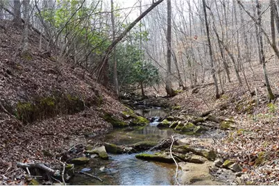 1284-1516 Tom Mix Road #95.93 +/- Ac Tract, Westfield, NC 27053 - Photo 41