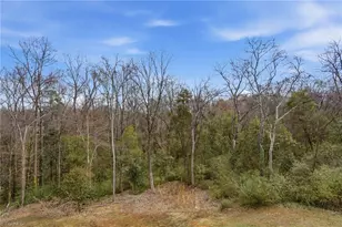 102 Snyder Ct, Concord, NC 28025 - Photo 31