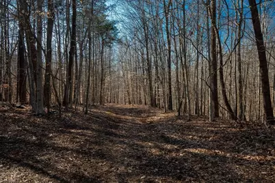 275 Beaver Creek Road, Mayodan, NC 27027 - Photo 15