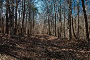 275 Beaver Creek Rd, Mayodan, NC 27027 - Photo 15