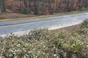 107 Bryan St, Stoneville, NC 27048 - Photo 19