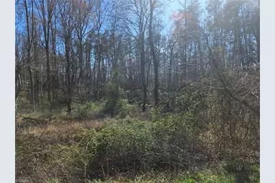 00 Locust Grove Road #3, Westfield, NC 27030 - Photo 5