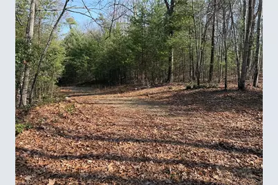 Lot 227 Deer Run, Purlear, NC 28665 - Photo 9