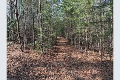 Lot 227 Deer Run, Purlear, NC 28665 - Photo 7