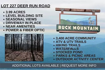 Lot 227 Deer Run, Purlear, NC 28665 - Photo 1