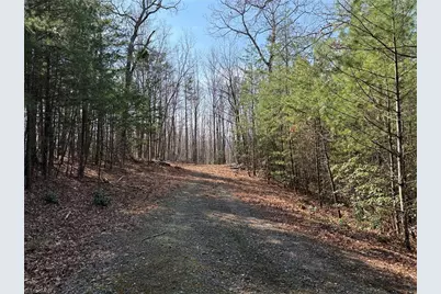Lot 227 Deer Run, Purlear, NC 28665 - Photo 3