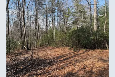 Lot 227 Deer Run, Purlear, NC 28665 - Photo 5