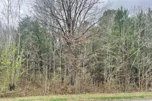 2816 Belmont Rd, Linwood, NC 27299 - Photo 3