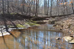 599 Nc Hwy 770, Mayodan, NC 27027 - Photo 31