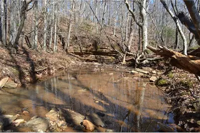 599 Nc Highway 770, Mayodan, NC 27027 - Photo 7