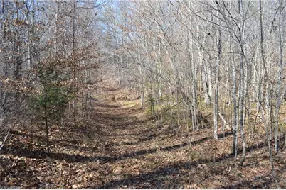 599 Nc Highway 770, Mayodan, NC 27027 - Photo 29