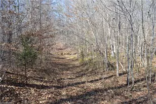 599 Nc Hwy 770, Mayodan, NC 27027 - Photo 29