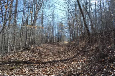 599 Nc Highway 770, Mayodan, NC 27027 - Photo 33