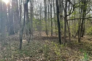 2183 Rowe Rd, Lexington, NC 27295 - Photo 41