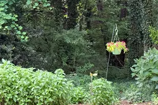 4118 Chatham Hill Dr, Winston-Salem, NC 27104 - Photo 47