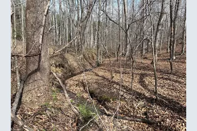 0 Doll Branch Road, Milton, NC 27305 - Photo 23