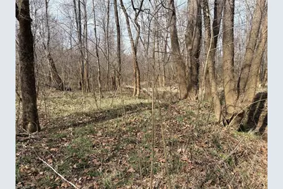 0 Doll Branch Road, Milton, NC 27305 - Photo 33