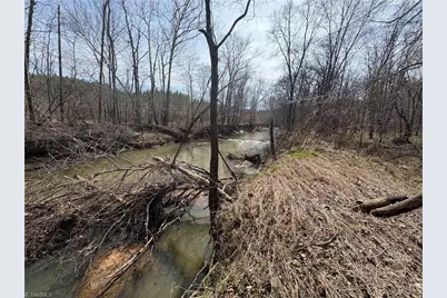 0 Doll Branch Road, Milton, NC 27305 - Photo 31