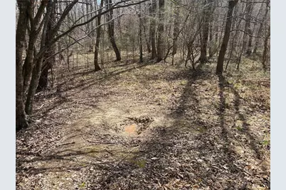 0 Doll Branch Road, Milton, NC 27305 - Photo 25